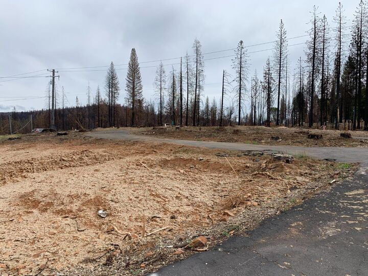 5082 Mount Pleasant Drive  Grizzly Flats CA 95636 photo