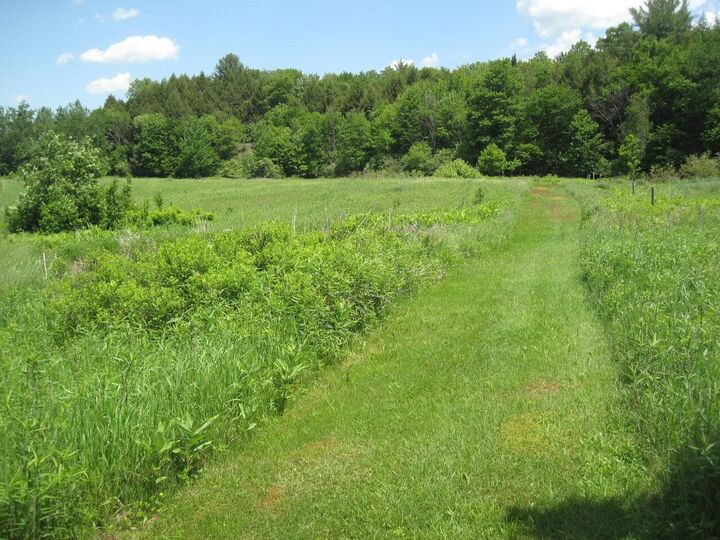 Property Photo: 73 Evergreen Road VT 05454