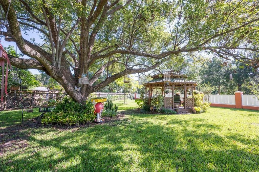 Property Photo: 2504 Cub Place FL 33584