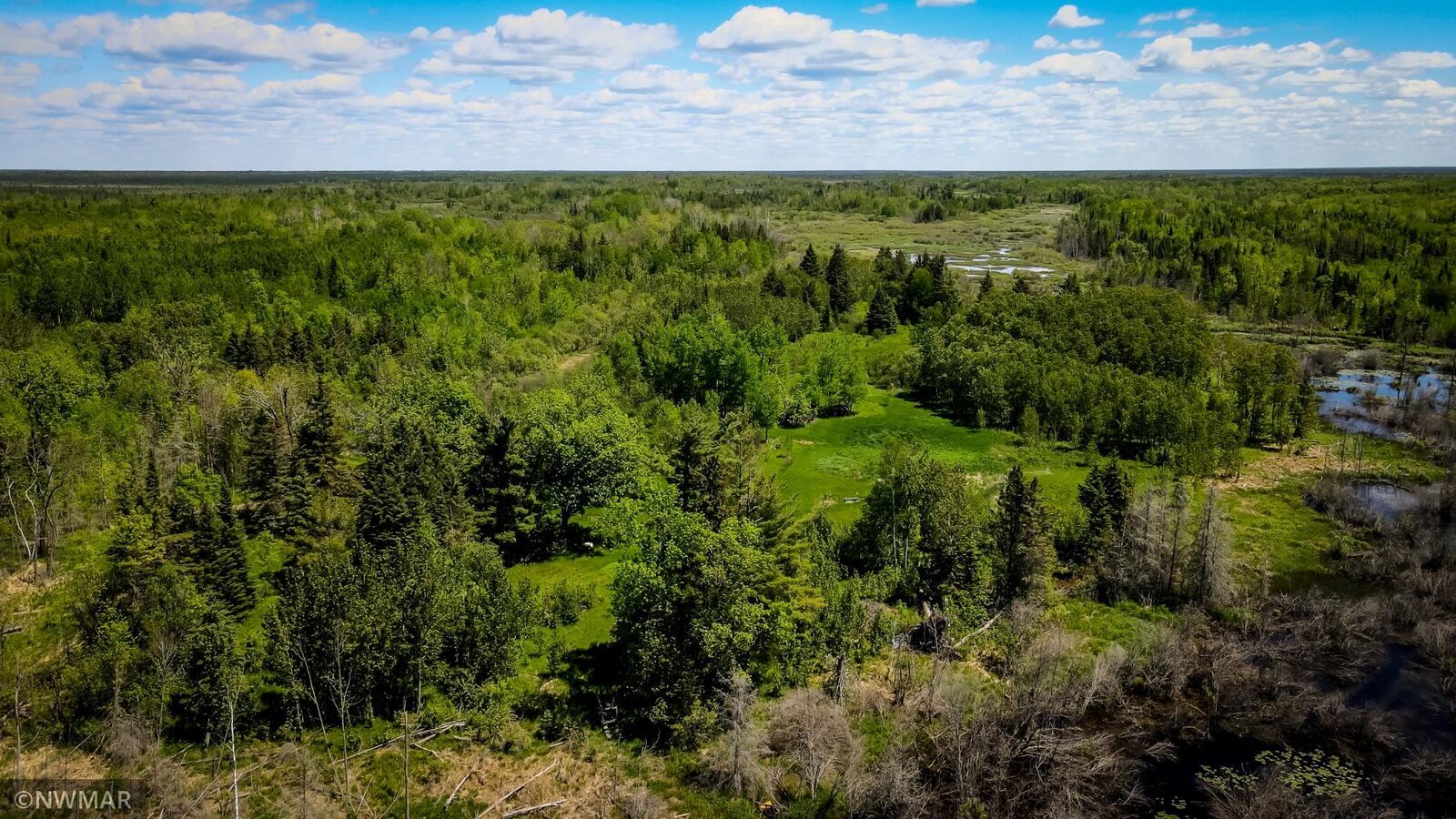Property Photo:  Tbd Watson Drive NE  MN 56650 