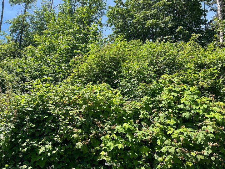 Property Photo:  117  B Whidbey Island Drive  WA 98206 