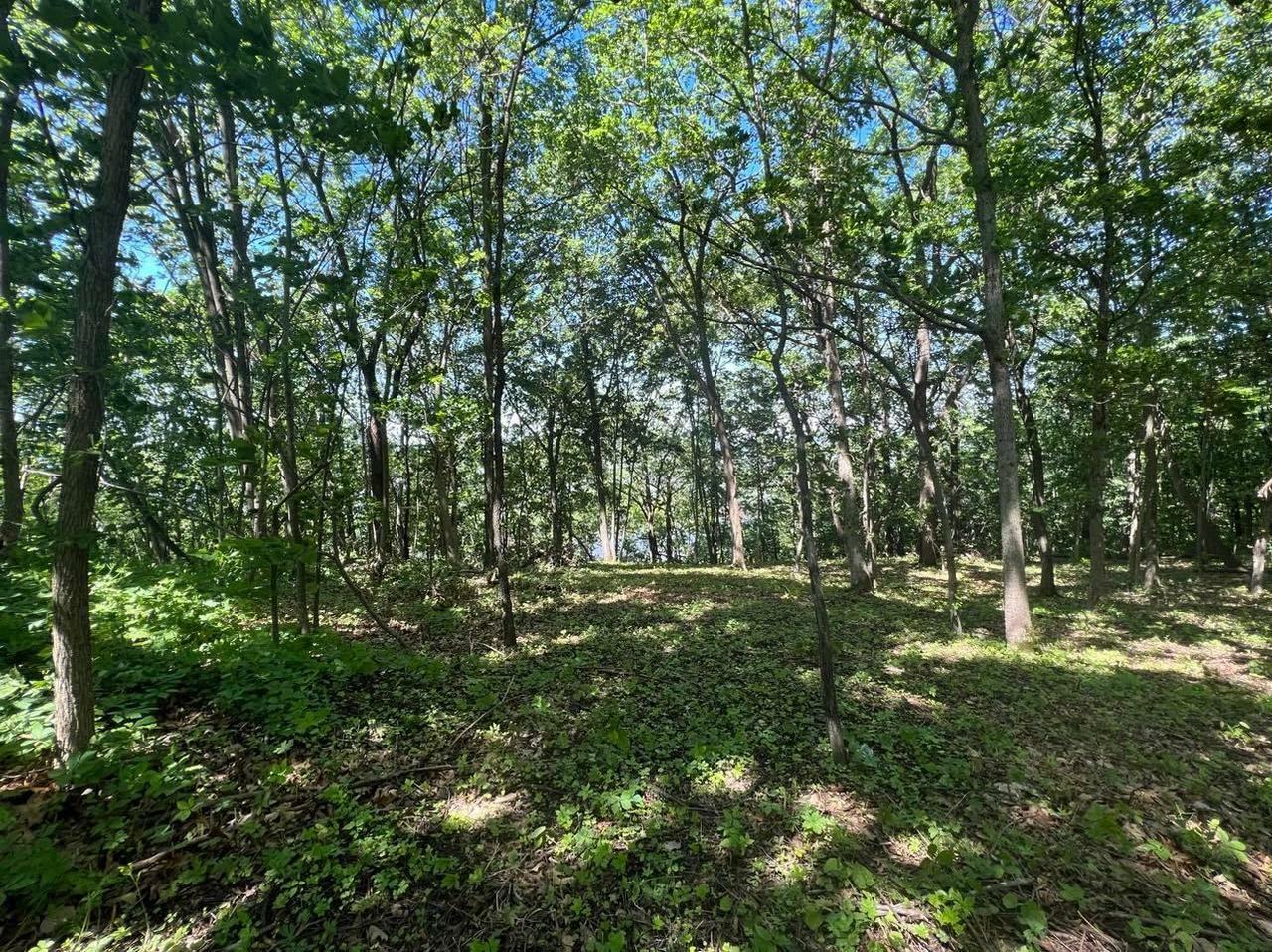 Property Photo:  3.73 Acres American Heritage Rd  WI 54624 