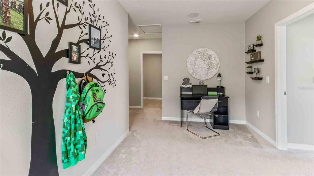 Property Photo: 17033 Oval Rum Drive FL 33598
