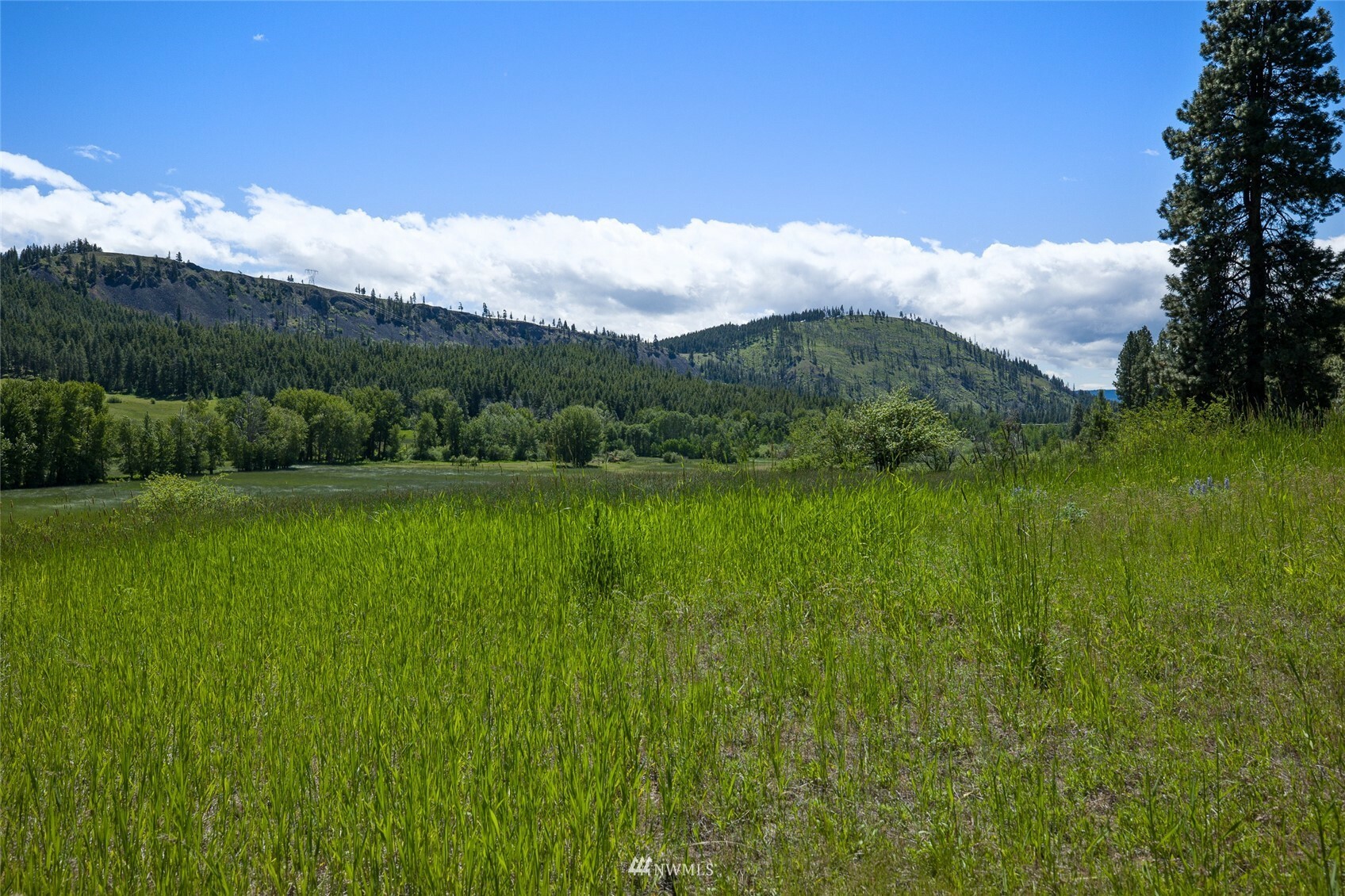 Property Photo:  0 Ranch Road  WA 98922 