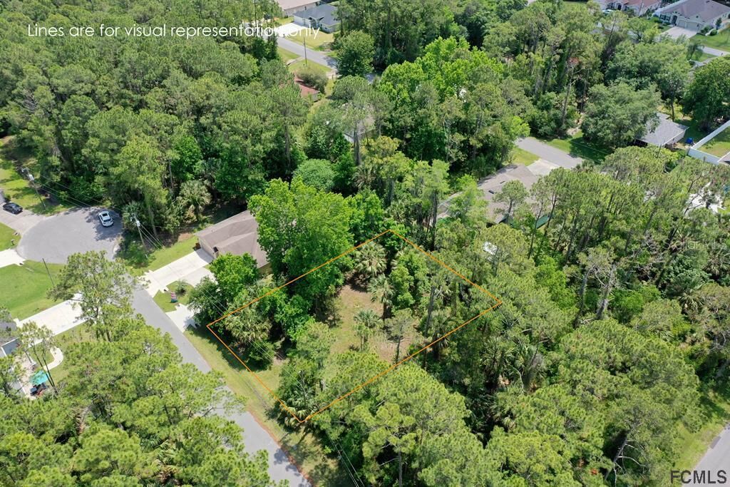 Property Photo:  4 Birch Haven Place  FL 32137 