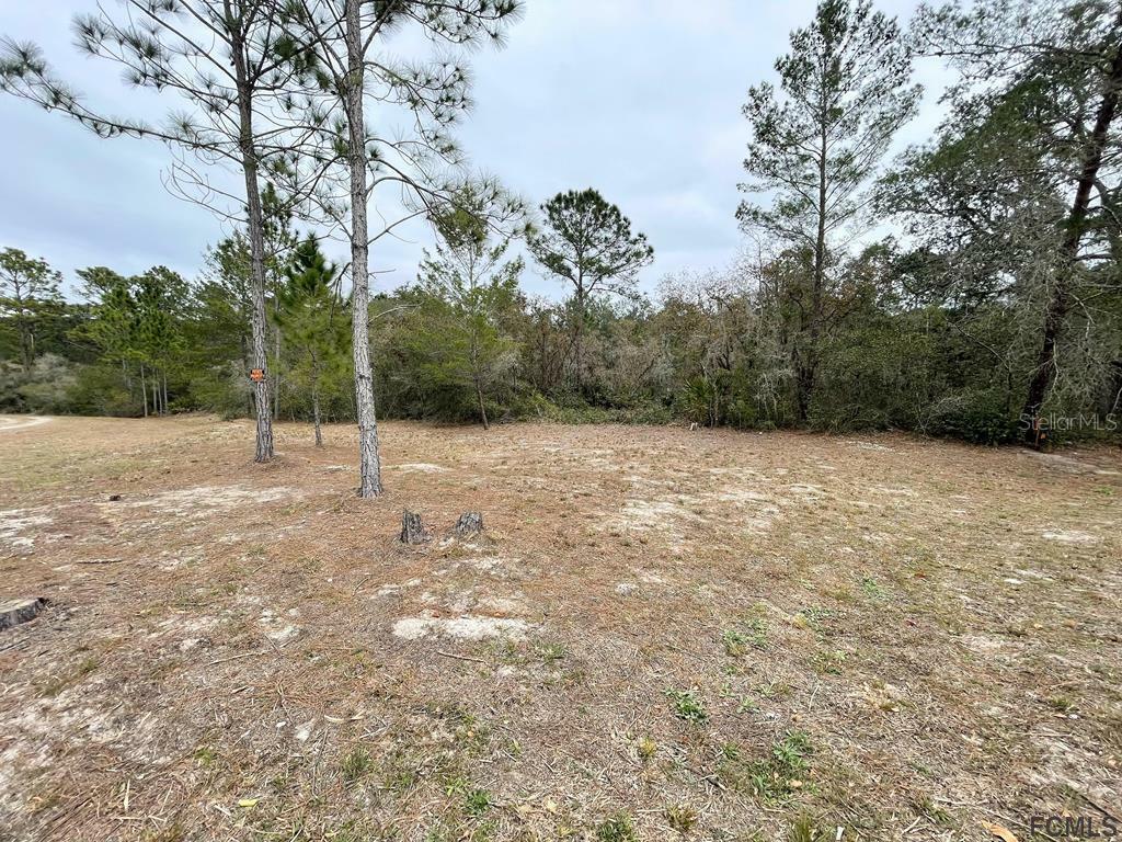 Property Photo:  117 Moon Lake Drive  FL 32112 