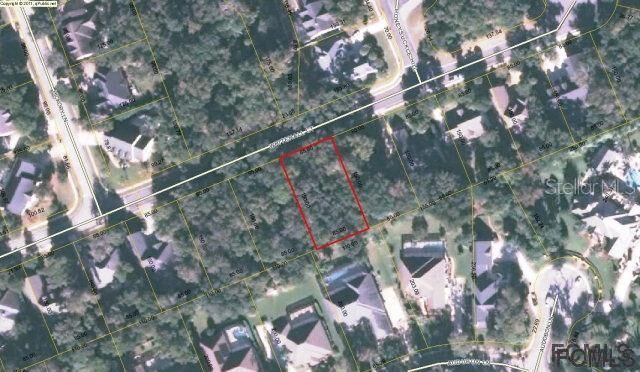 Property Photo:  29 White Hall Court  FL 32136 