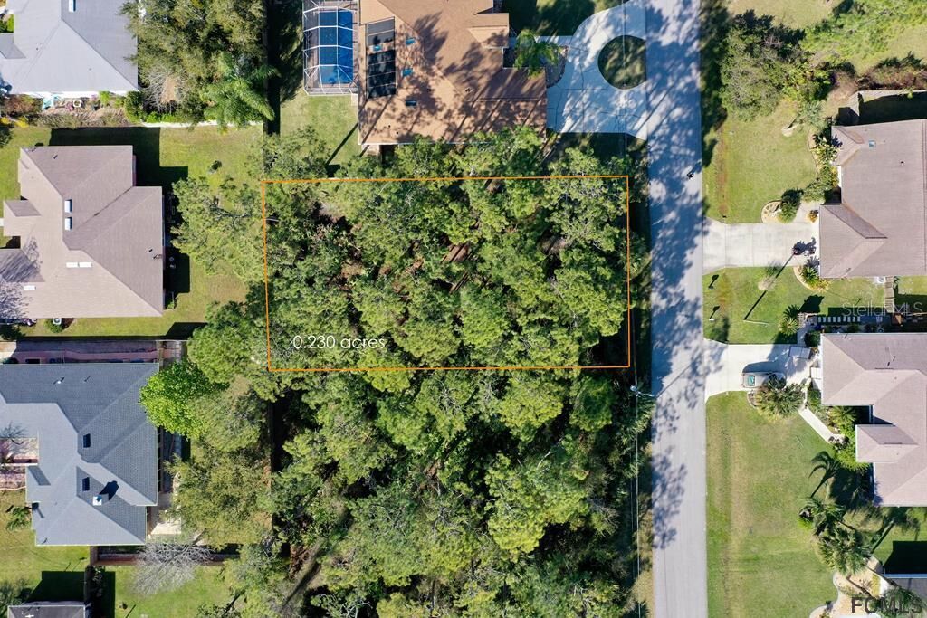 Property Photo:  29 Pepper Lane  FL 32164 