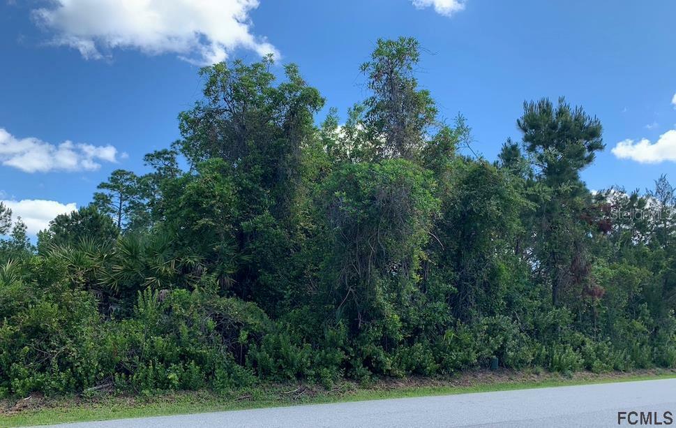 Property Photo: 37 Fernmill Lane FL 32137