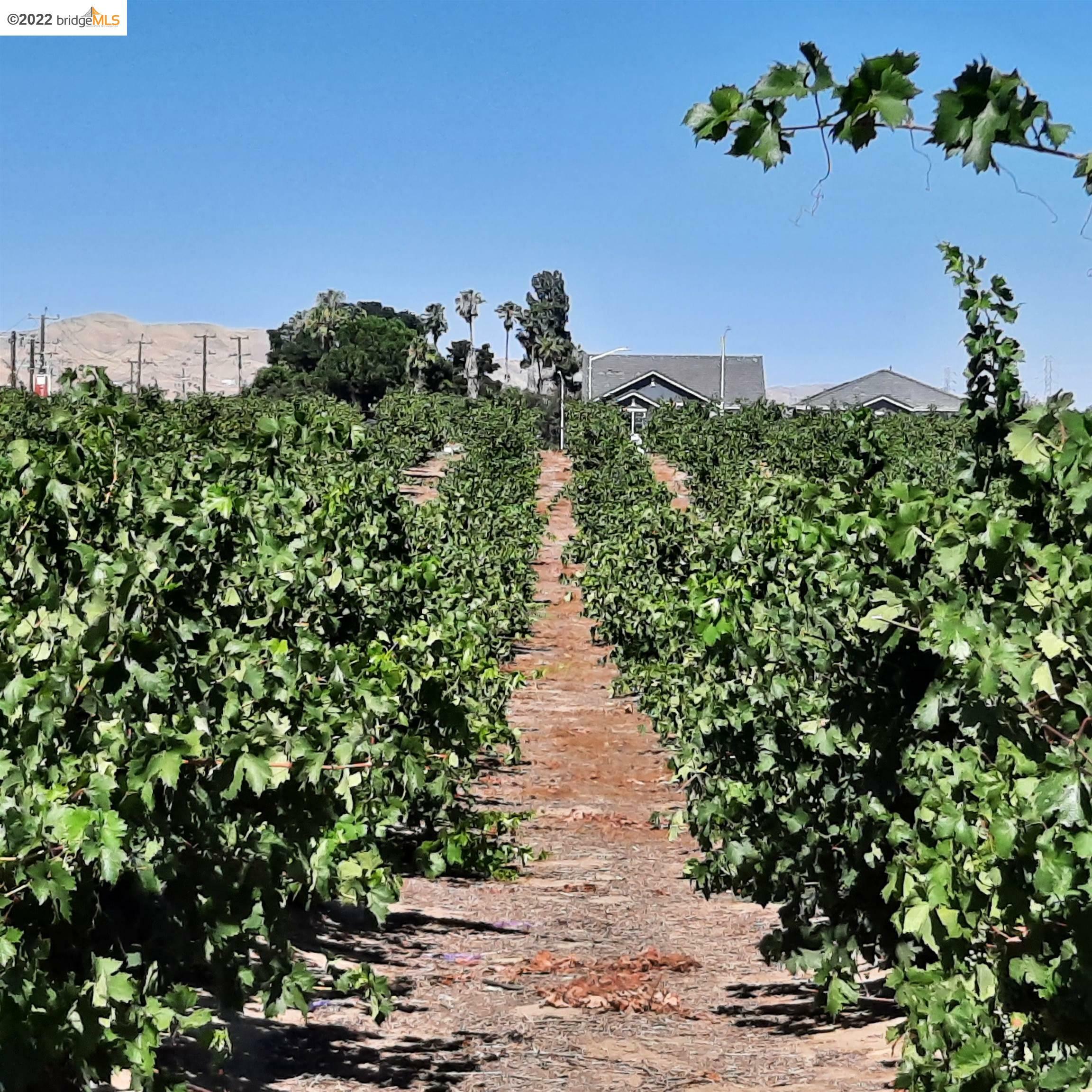 Property Photo: 3001 Oakley Rd CA 94509