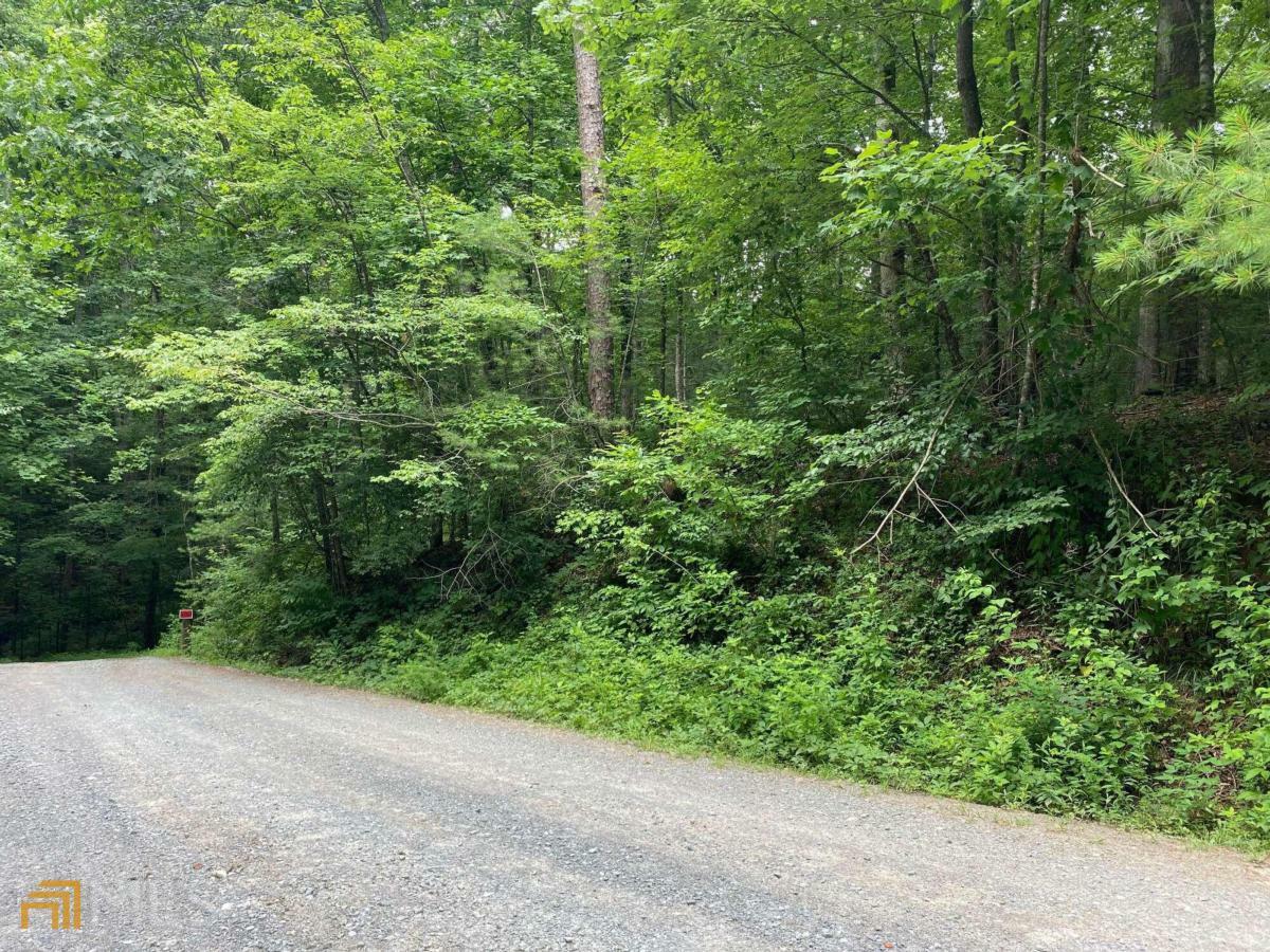 Property Photo:  0 Graham Ct Lot 3770  GA 30540 