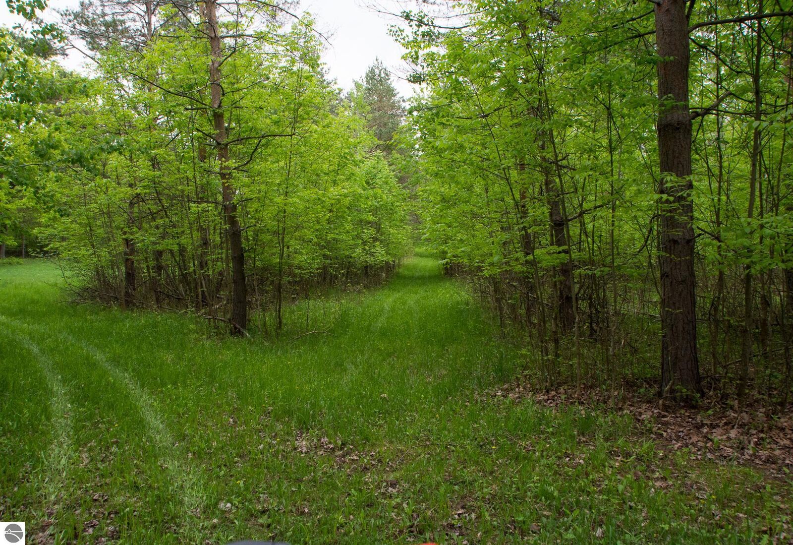 Property Photo: 00 Gillings Road MI 48756