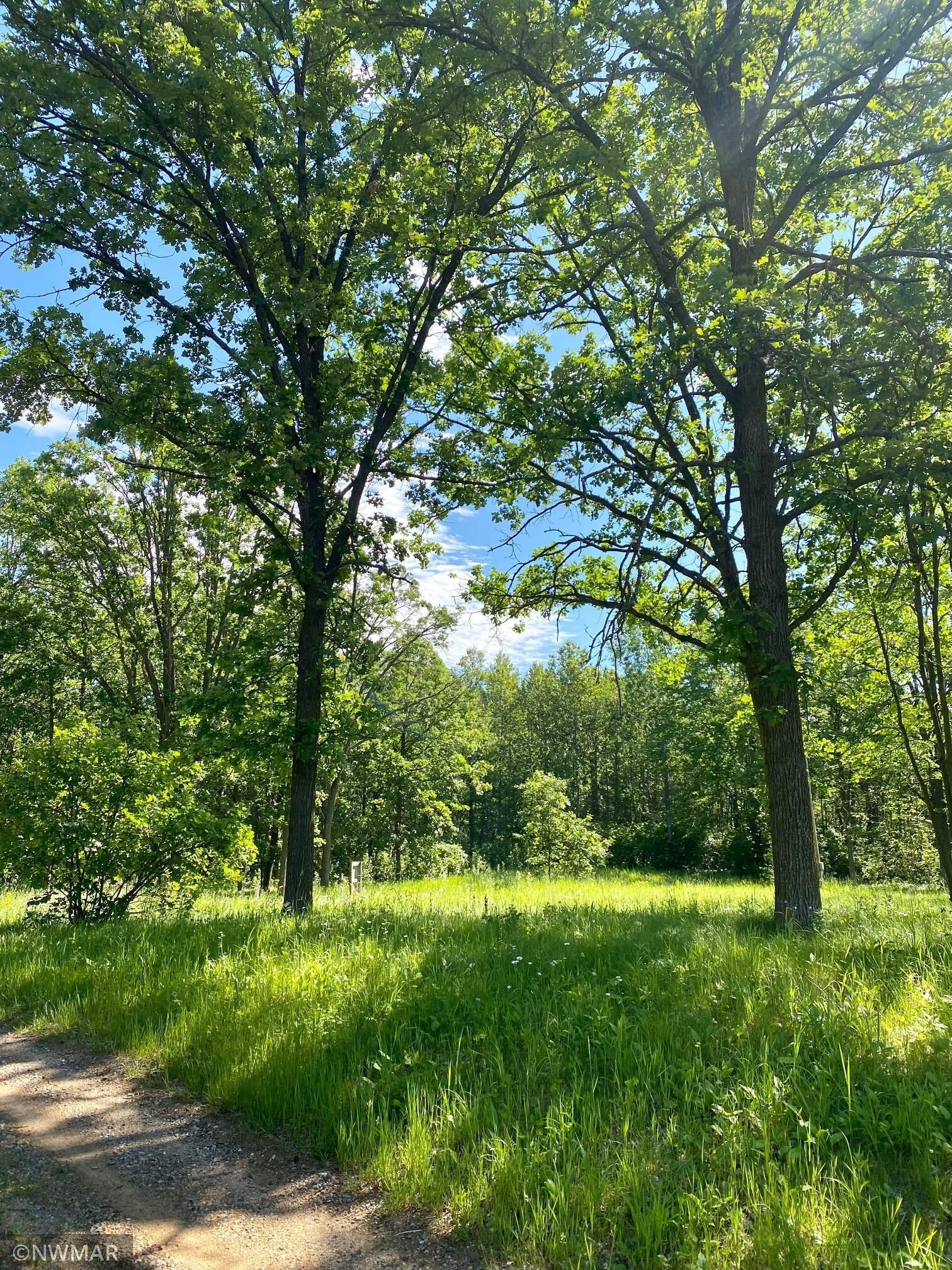 Property Photo:  9034 Goodnuff Lane NE  MN 56601 