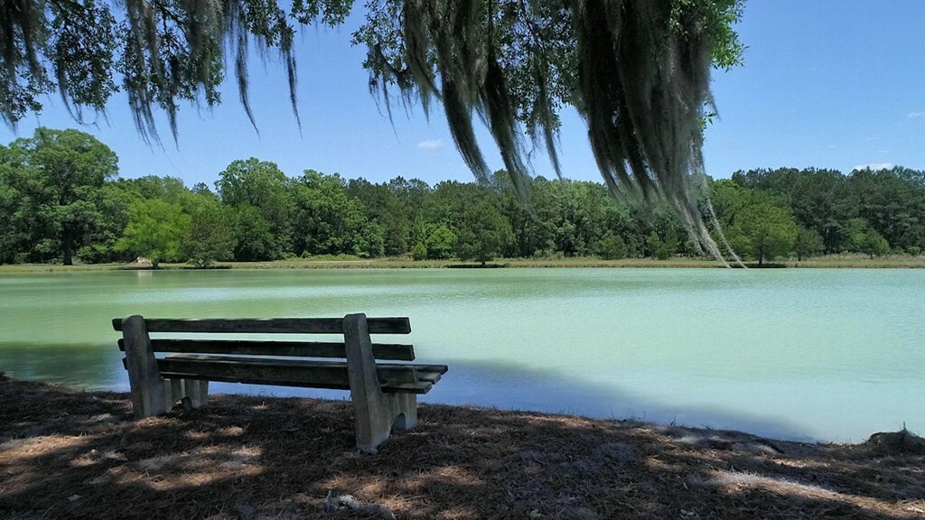 Property Photo:  Lot 14 Hidden Lakes Drive  GA 31721 