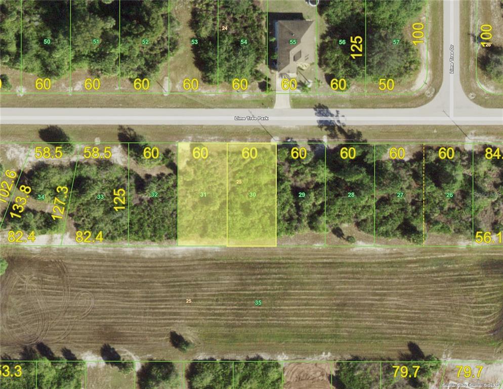 Property Photo: 157 Lime Tree Park FL 33947