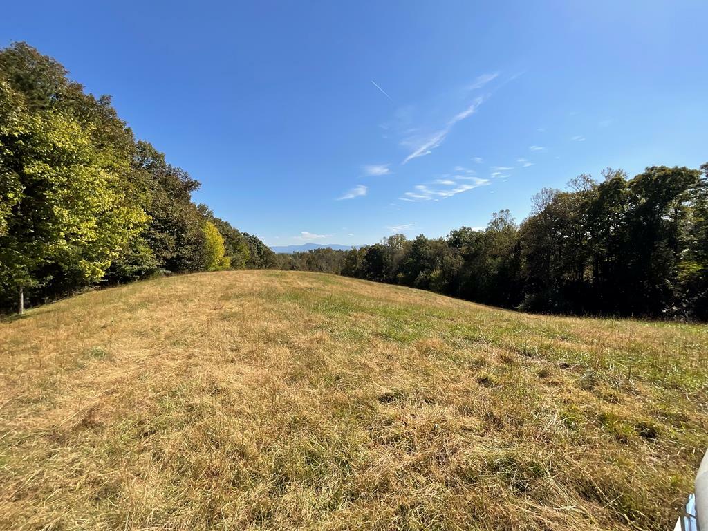 Property Photo:  0 Lower Kings Bridge Road  GA 30721 