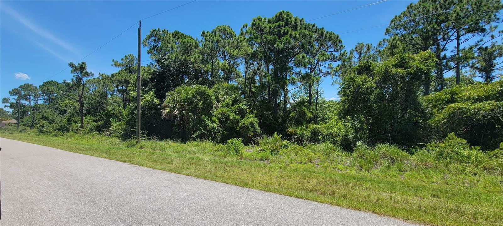 Property Photo:  9574 Little Rock Street  FL 33981 