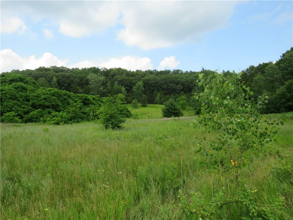 Property Photo:  Lot 1 Markgraff Road  WI 54742 