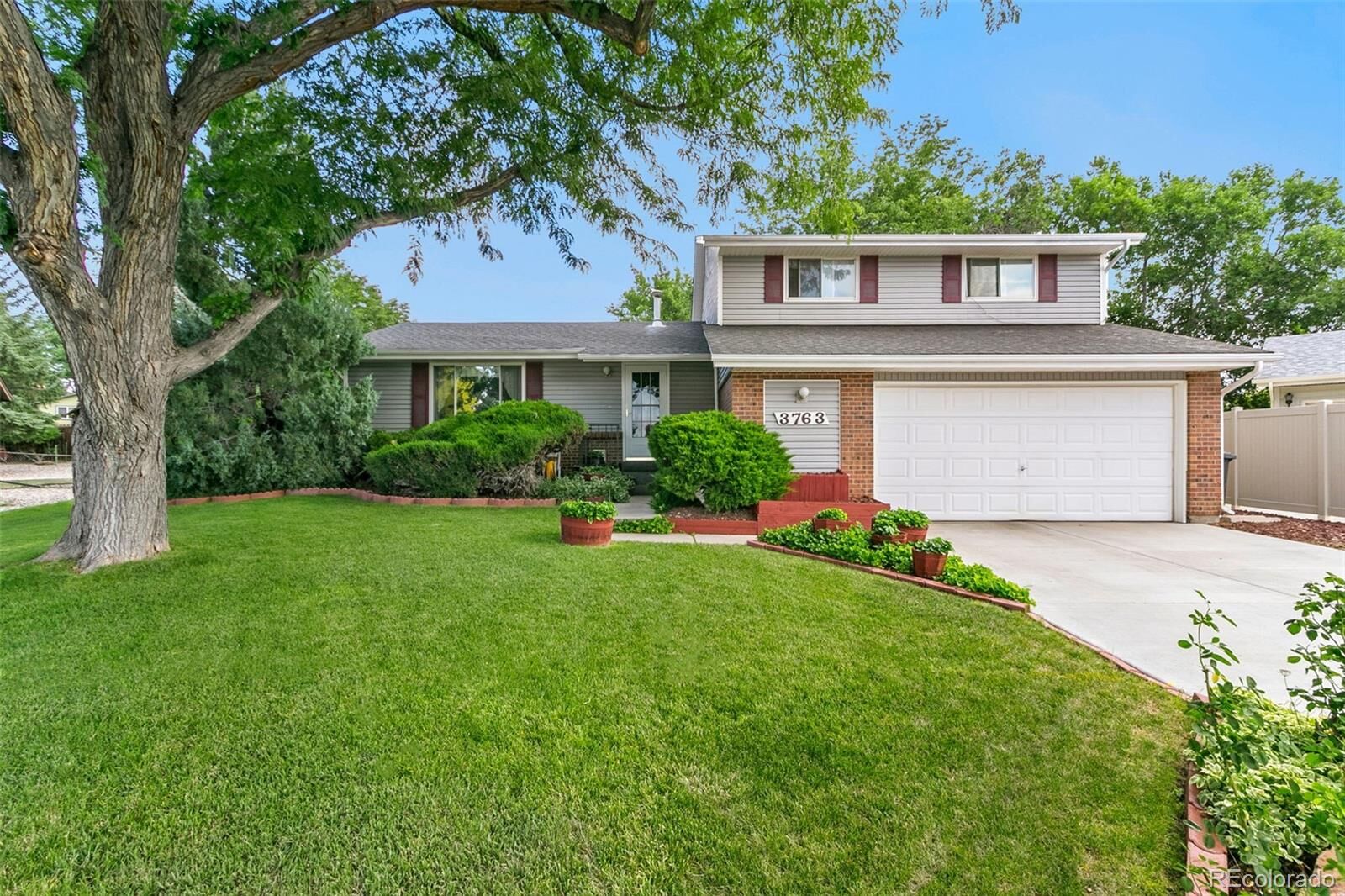 Property Photo:  3763 Chestnut Court  CO 80538 