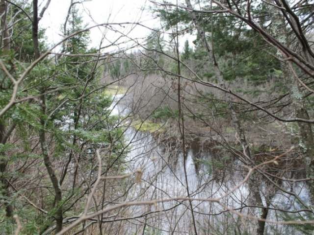 Property Photo:  Near Turtle Rapids Ln A,B  WI 54547 