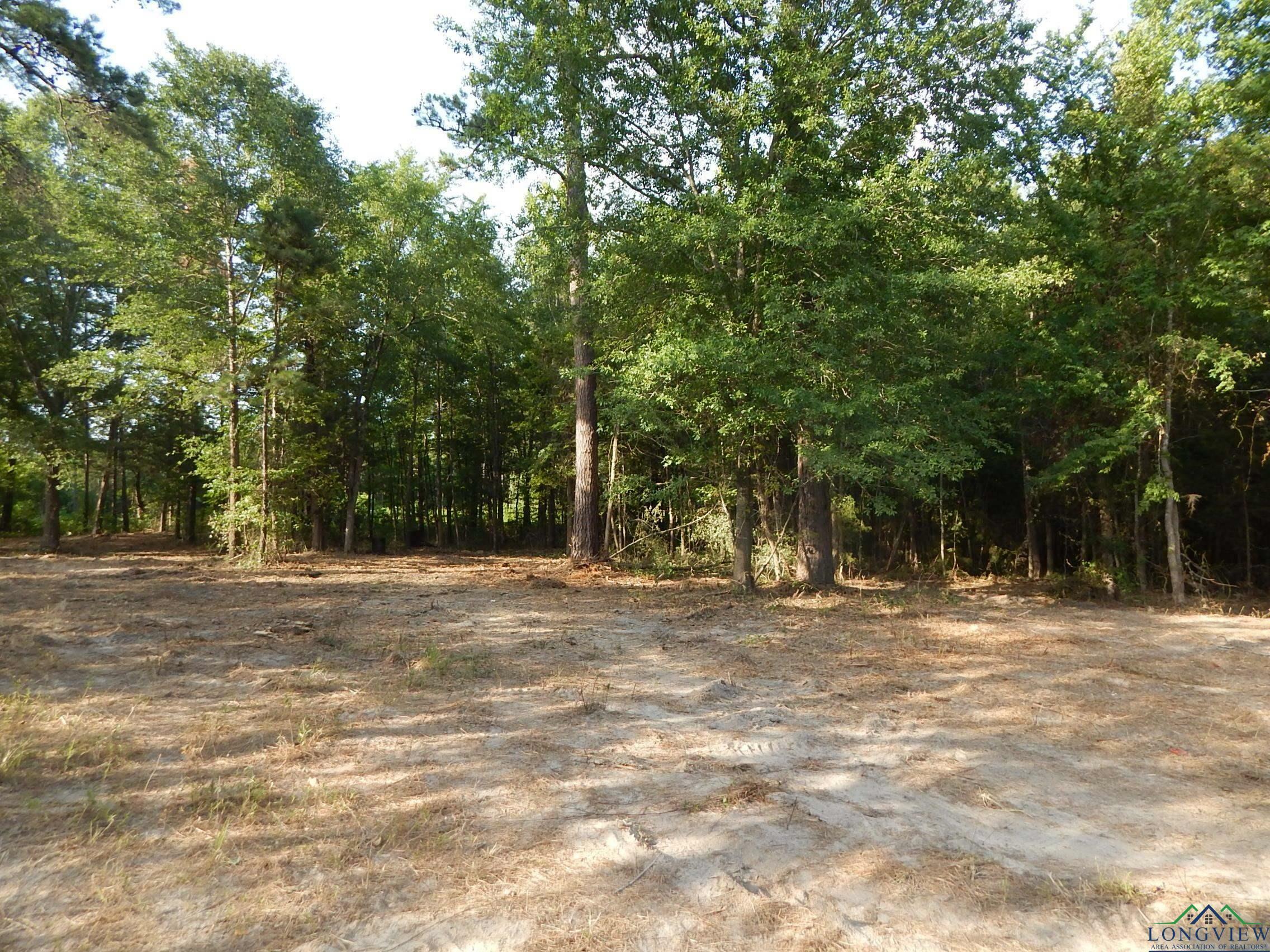 9760 Woodchuck Lot  3  Winnsboro TX 75494 photo