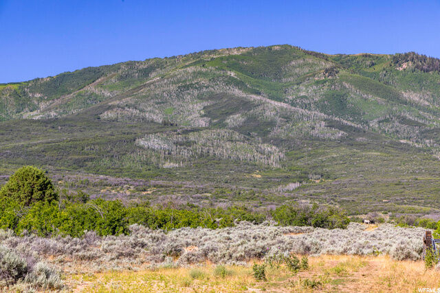 Property Photo:  2120 Little Valley Rd  UT 84082 