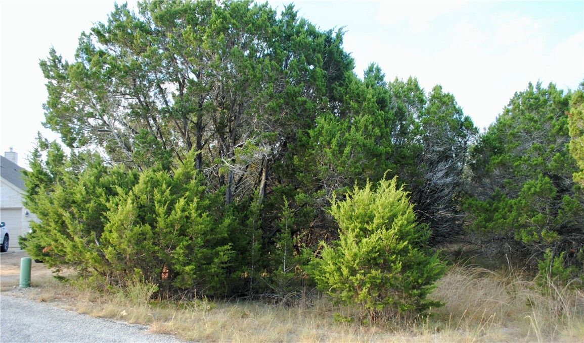 Property Photo: 3 Misty Circle TX 78676