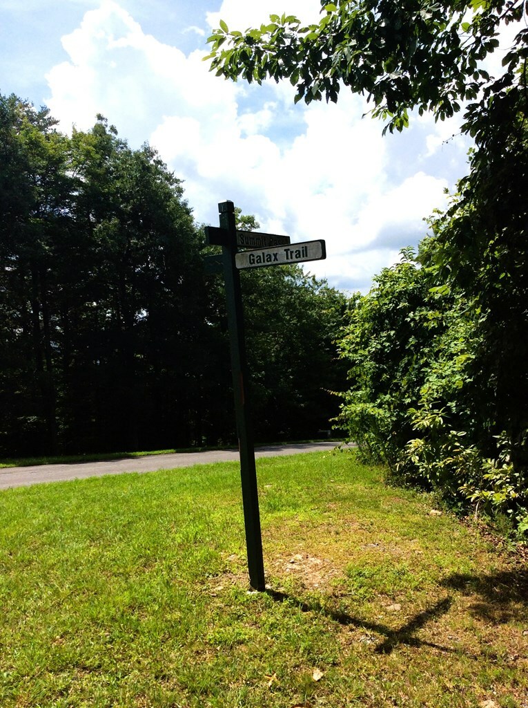 Property Photo:  192 Galax Trail  GA 30705 