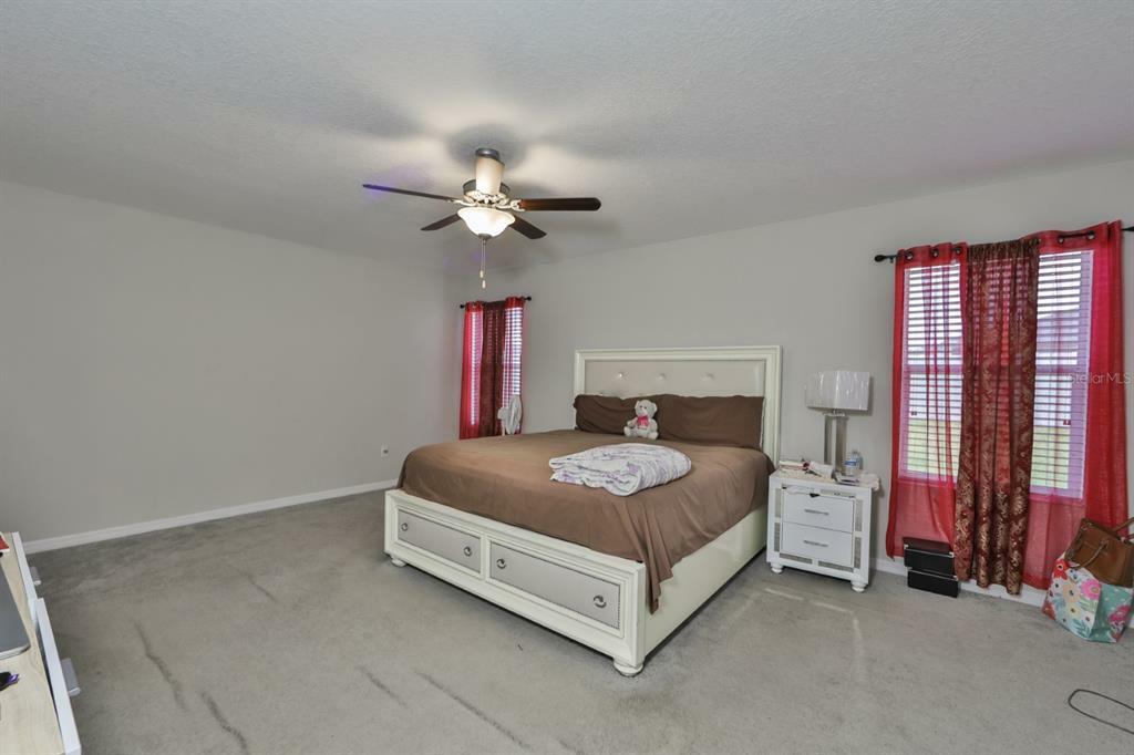 Property Photo:  17119 White Mangrove Drive  FL 33598 