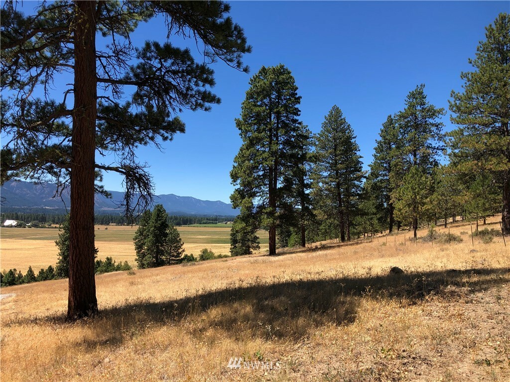 Property Photo:  0 Lot A Masterson Road  WA 98922 