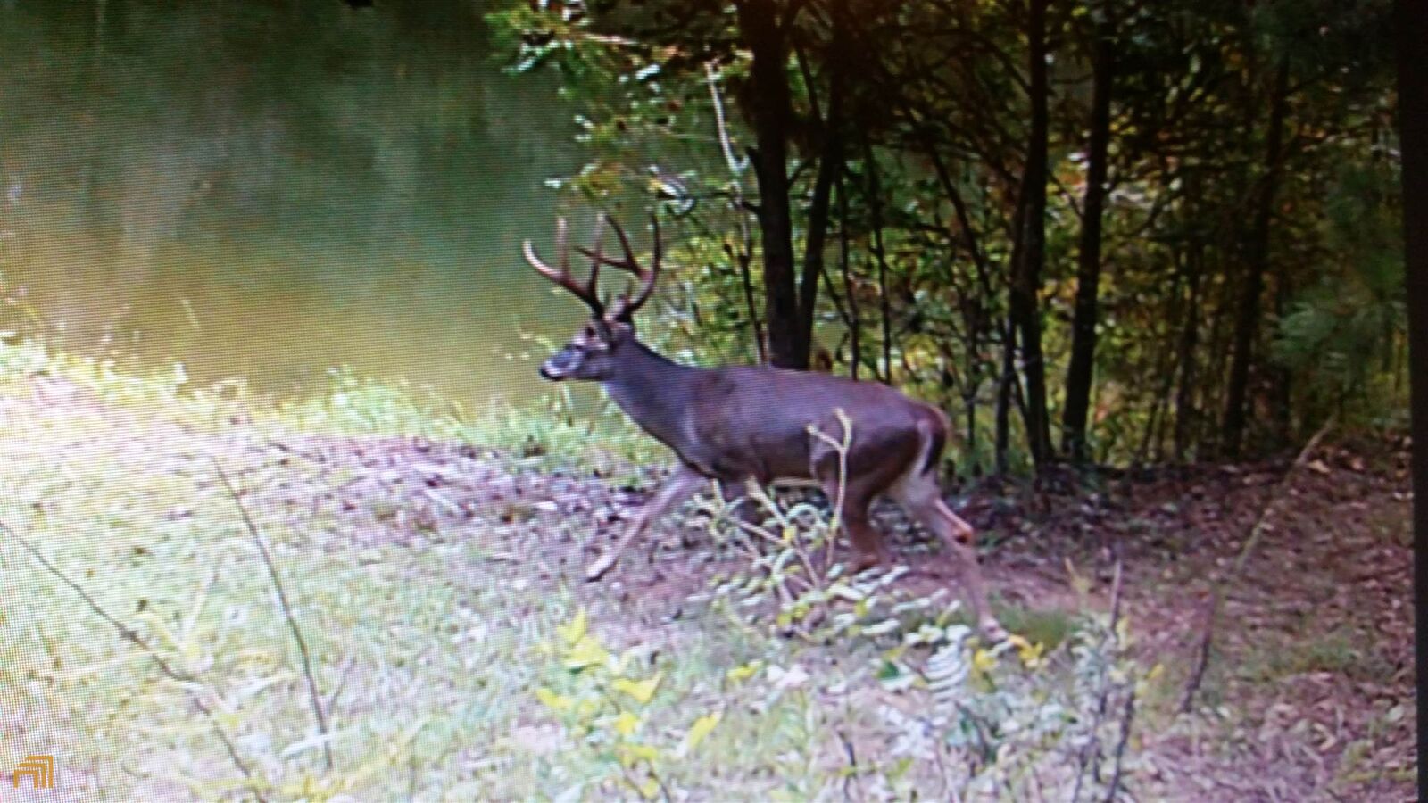 Property Photo:  0 Saddleback Farms Tract 9  GA 30263 