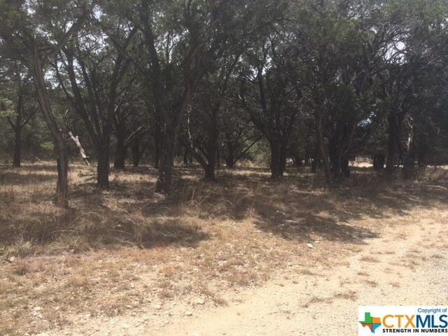 Property Photo:  1811 Lakepark Drive  TX 78063 