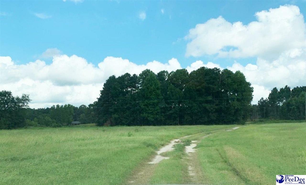 Property Photo:  1962 Newman Branch Road  SC 29111 