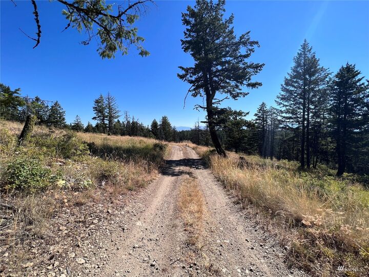 Property Photo:  0 Lot 147 Union Ridge Road  WA 99166 