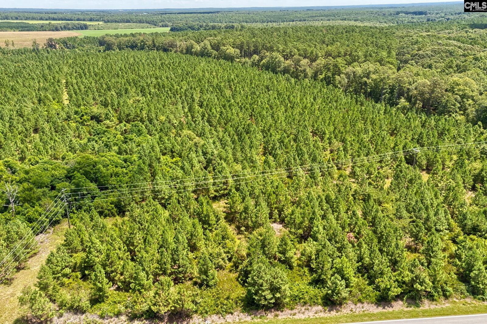 Property Photo: 0 Forts Pond SC 29123