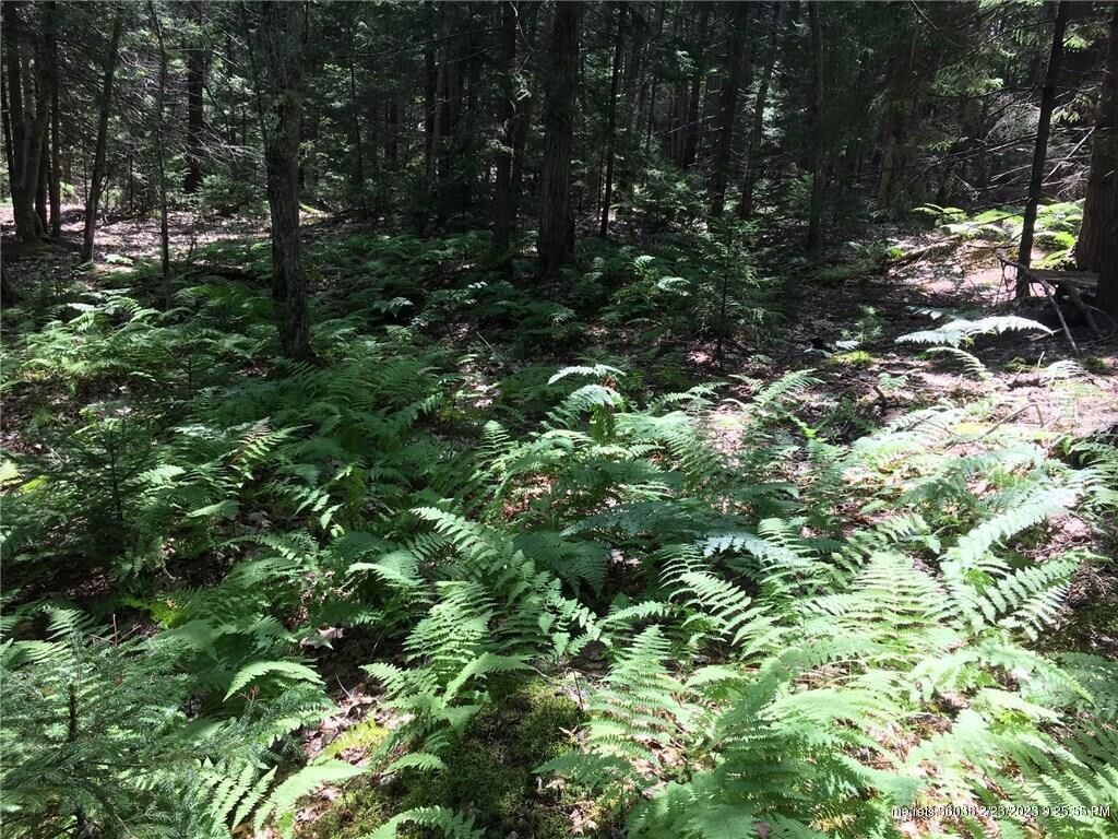 Property Photo:  0 Brightwater Road  ME 04562 