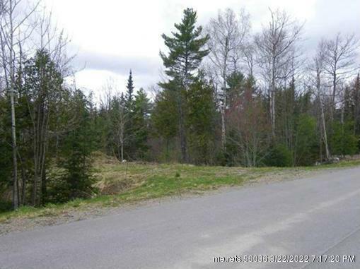 Property Photo:  Lot 3 Grant Road  ME 04473 