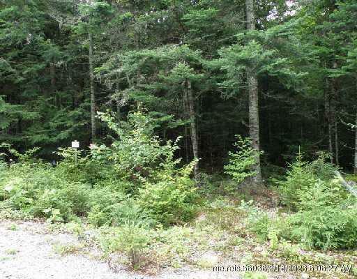 Property Photo: 19 Chambers Road ME 04634