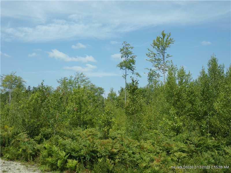 Property Photo:  Lot 2A Tilden Way  ME 04605 