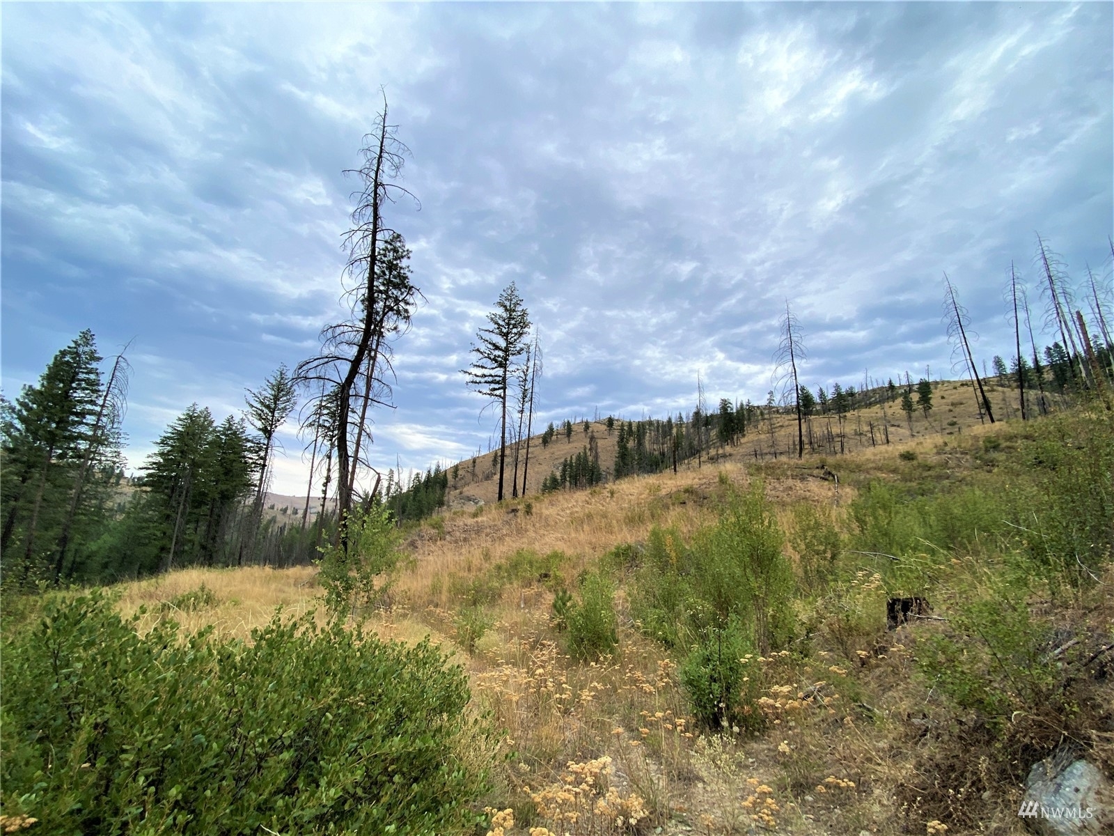 Property Photo:  7 Gold Creek Ranch Road  WA 98814 