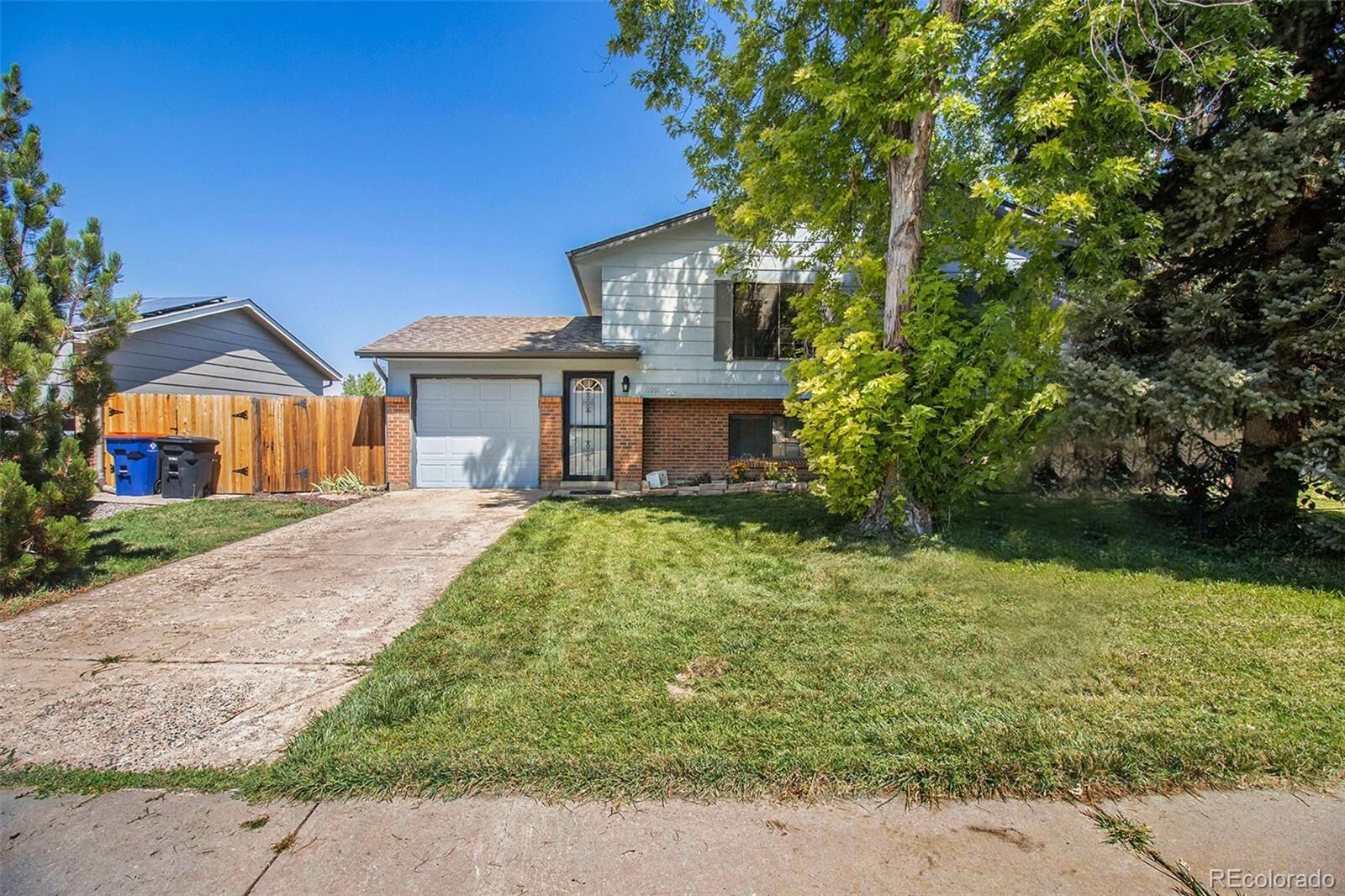 Property Photo: 11991 W Dumbarton Drive CO 80465