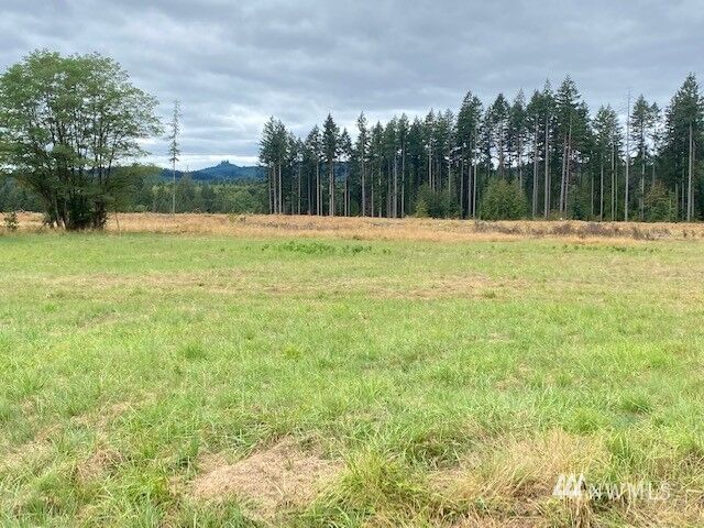 Property Photo:  219 Tennessee Road  WA 98596 