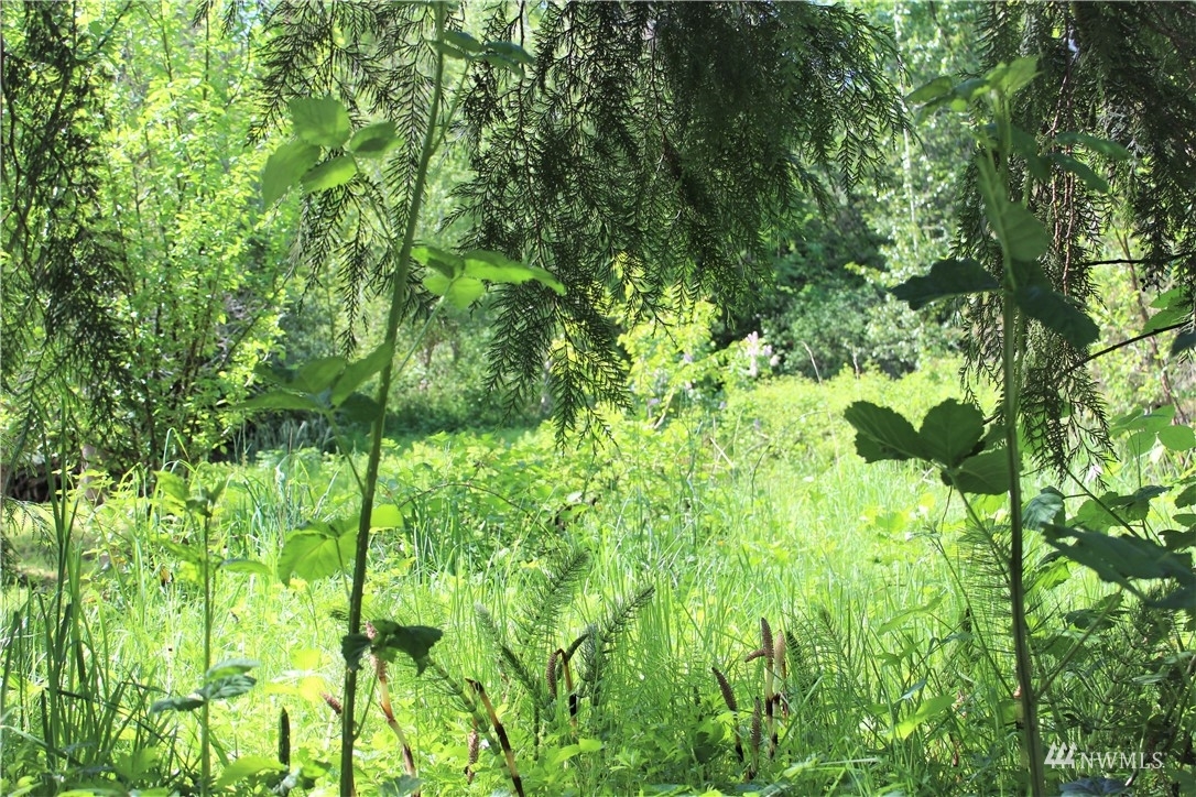 Property Photo: 140 X Maple WA 98290