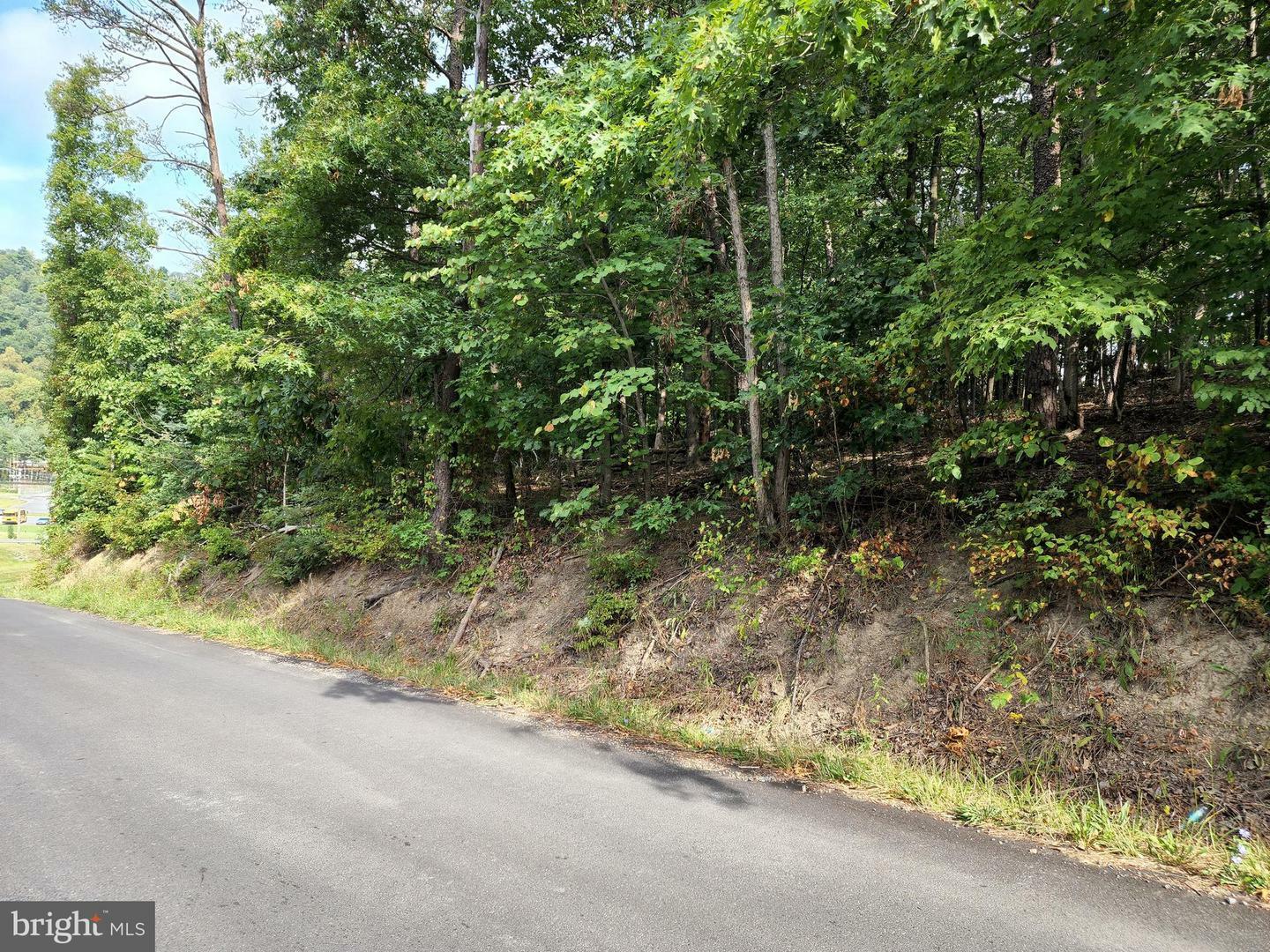 Property Photo:  Myers Rd  WV 25411 