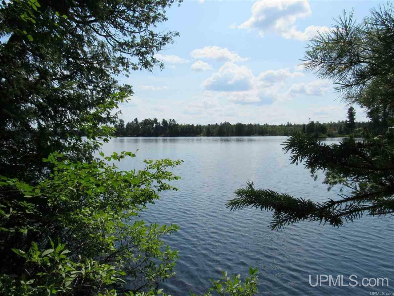 Property Photo: Tbd Off Berry MI 49861