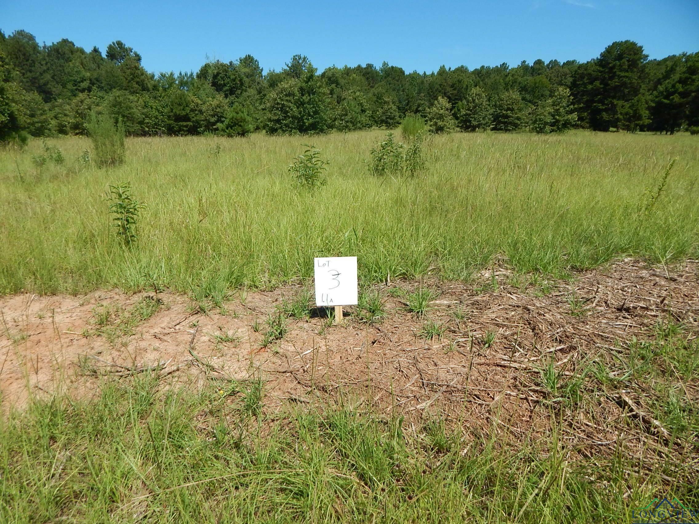 Property Photo:  Tbd Lot 3 Law Rd  TX 75651 