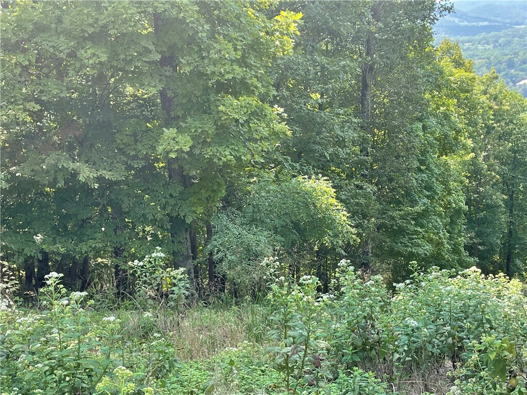 Property Photo: 267 Holiday Island Drive AR 72631
