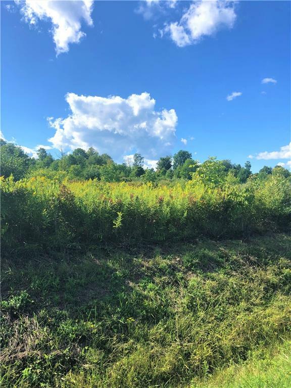 Property Photo:  0 Demunn Lot 4 Road  NY 14812 