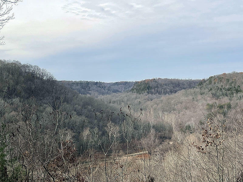 Property Photo:  Lot 145 Stillwater  KY 42642 