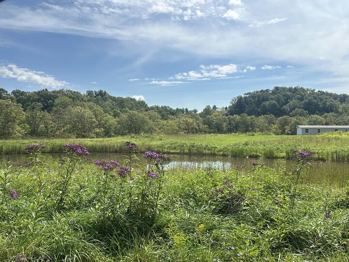 Property Photo: 2603 Mount Zion Road KY 40729